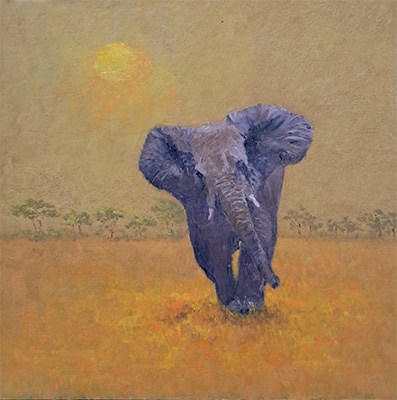 Baby Elephant Walk by Henry Mancini - Barry Mackie