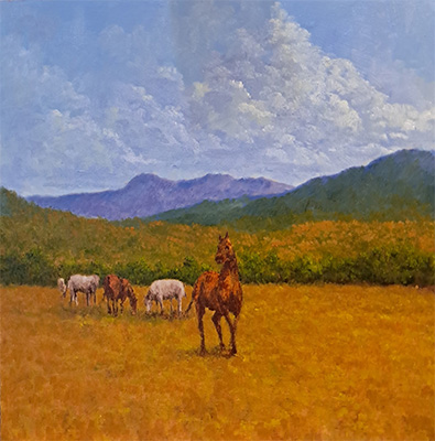 Trojan Country by Warren Edgar-Gillespie - Barry Mackie
